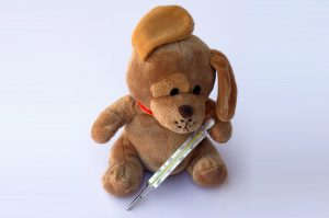 Teddy bear thermometer